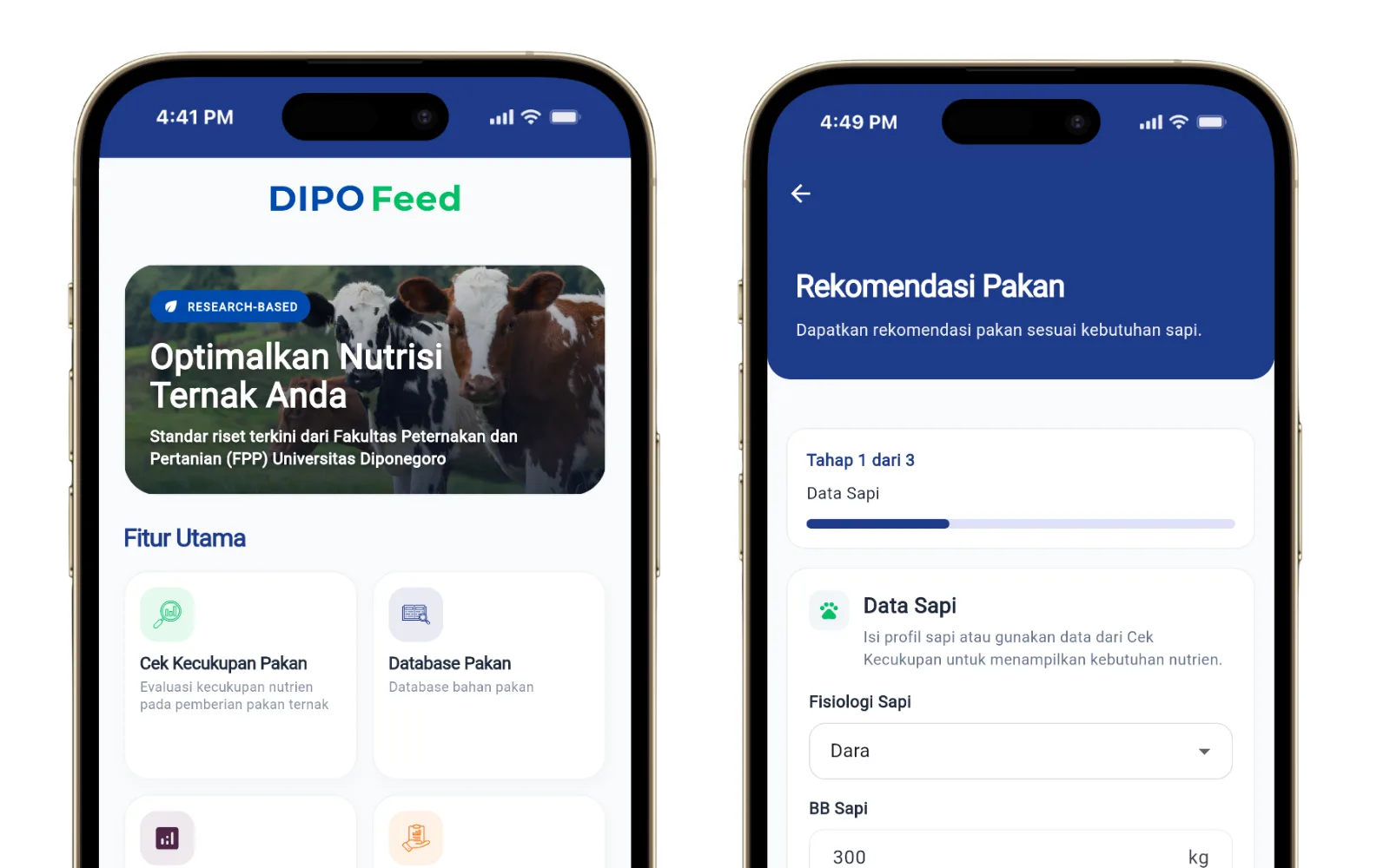 DipoFeed preview